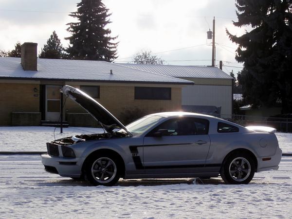 2005-2009 Ford Mustang S-197 Gen 1 Photo Gallery Lets see your latest pics!!!-p1140115.jpg