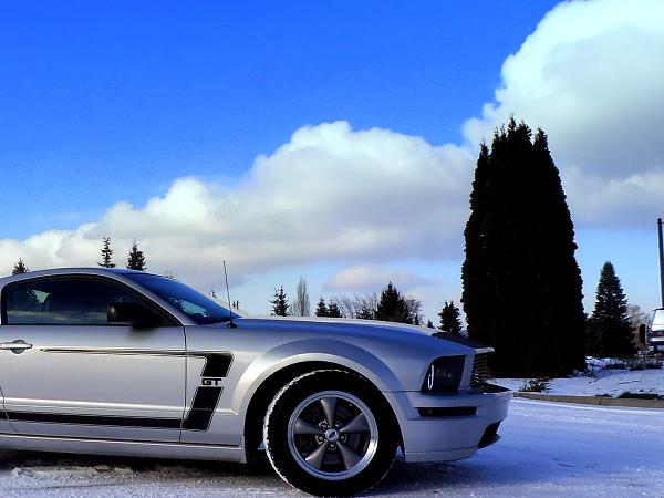 2005-2009 Ford Mustang S-197 Gen 1 Photo Gallery Lets see your latest pics!!!-p1140138.jpg