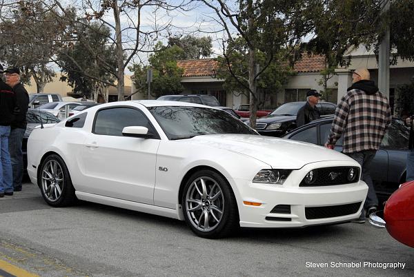 2005-2009 Ford Mustang S-197 Gen 1 Photo Gallery Lets see your latest pics!!!-20-dec-31-2012_9066.jpg