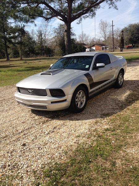 2005-2009 Ford Mustang S-197 Gen 1 Photo Gallery Lets see your latest pics!!!-image-2596318622.jpg