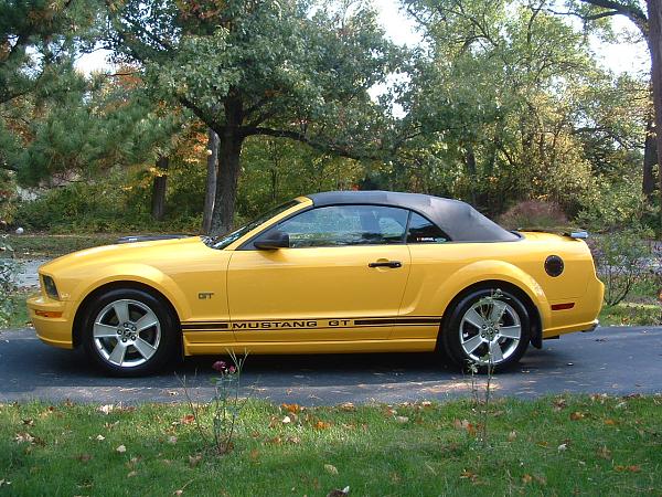 WOW it has been 7 years since I bought my car!!!!-dscf0006.jpg