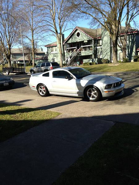 2005-2009 Ford Mustang S-197 Gen 1 Photo Gallery Lets see your latest pics!!!-image-3772346811.jpg
