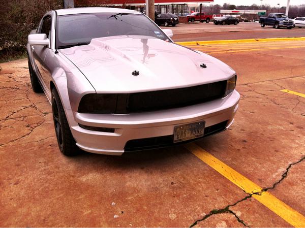 2005-2009 Ford Mustang S-197 Gen 1 Photo Gallery Lets see your latest pics!!!-image-3012044815.jpg