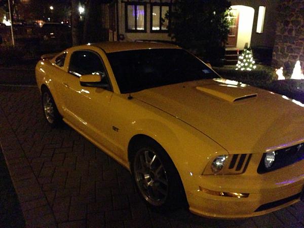 Show or more go?-image-3622656461.jpg