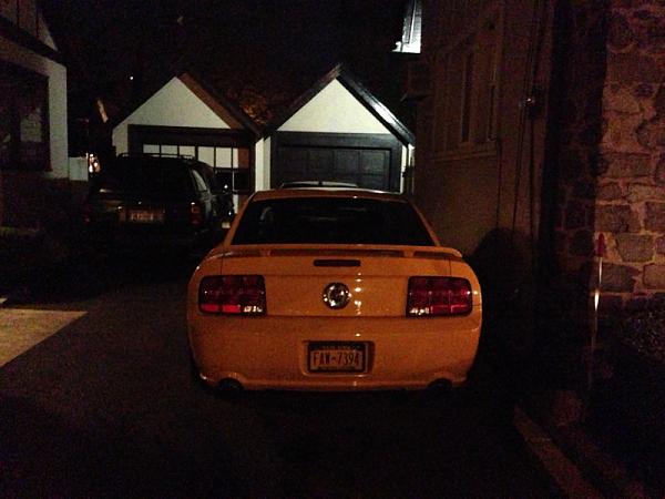 Show or more go?-image-4147749475.jpg