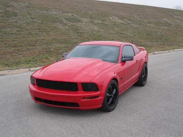 Show or more go?-image-2037183053.jpg