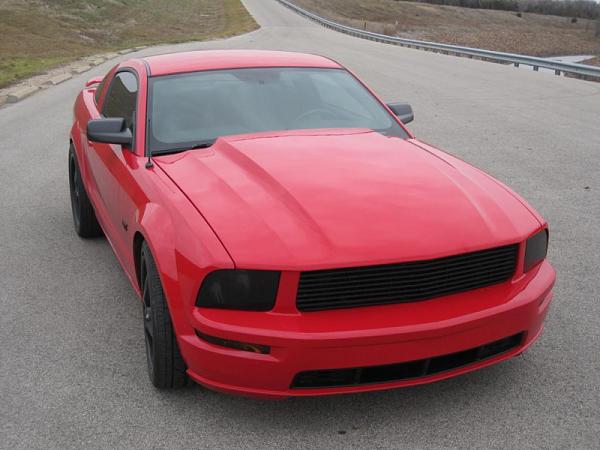 Show or more go?-image-250173933.jpg