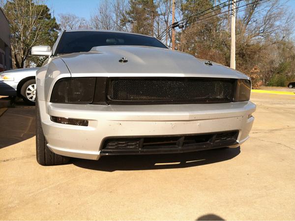 2005-2009 Ford Mustang S-197 Gen 1 Photo Gallery Lets see your latest pics!!!-image-3203900959.jpg