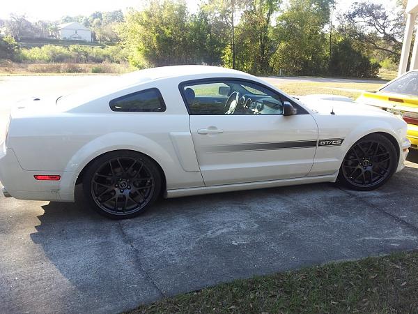 2005-2009 Ford Mustang S-197 Gen 1 Photo Gallery Lets see your latest pics!!!-20130315_174551.jpg