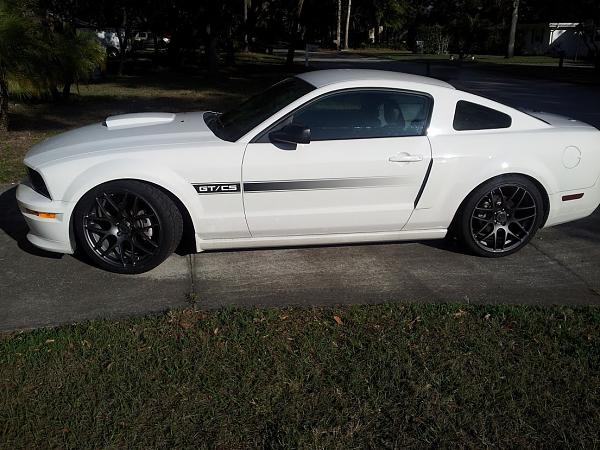 2005-2009 Ford Mustang S-197 Gen 1 Photo Gallery Lets see your latest pics!!!-20130315_174535.jpg