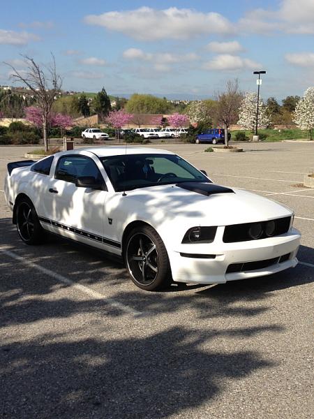 2005-2009 Ford Mustang S-197 Gen 1 Photo Gallery Lets see your latest pics!!!-image-4271626840.jpg