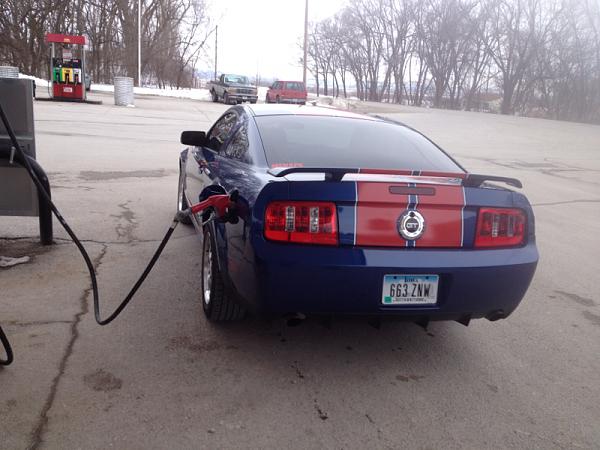 2005-2009 Ford Mustang S-197 Gen 1 Photo Gallery Lets see your latest pics!!!-image-1519573133.jpg