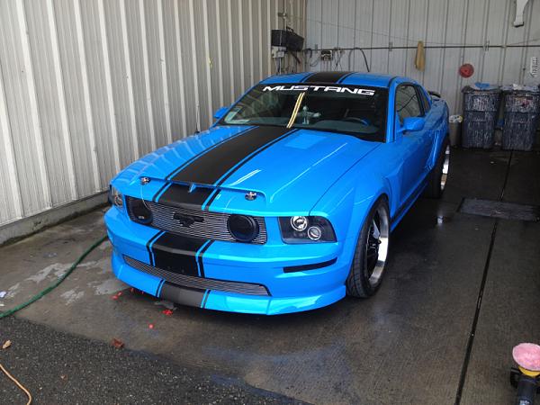 2005-2009 Ford Mustang S-197 Gen 1 Photo Gallery Lets see your latest pics!!!-image-874623559.jpg