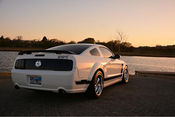 2005-2009 Ford Mustang S-197 Gen 1 Photo Gallery Lets see your latest pics!!!-image-2636204102.jpg