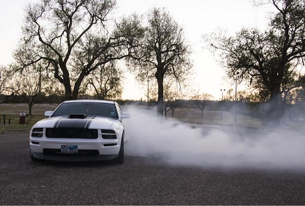 2005-2009 Ford Mustang S-197 Gen 1 Photo Gallery Lets see your latest pics!!!-image-478489721.jpg
