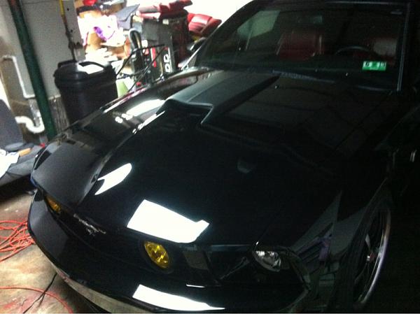 2005-2009 Ford Mustang S-197 Gen 1 Photo Gallery Lets see your latest pics!!!-image-105934025.jpg