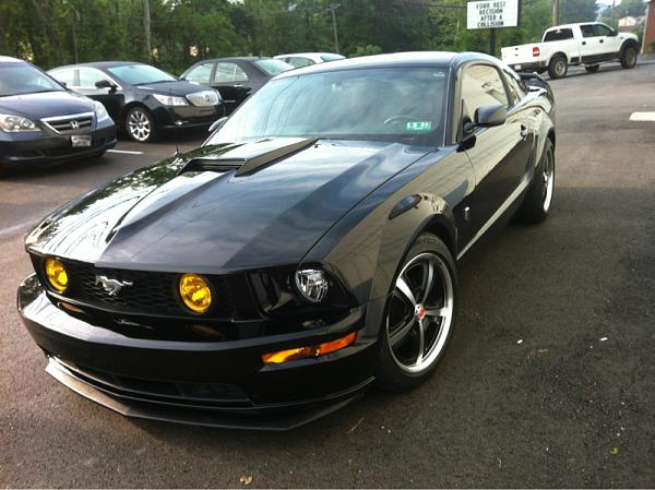 2005-2009 Ford Mustang S-197 Gen 1 Photo Gallery Lets see your latest pics!!!-image-976598891.jpg