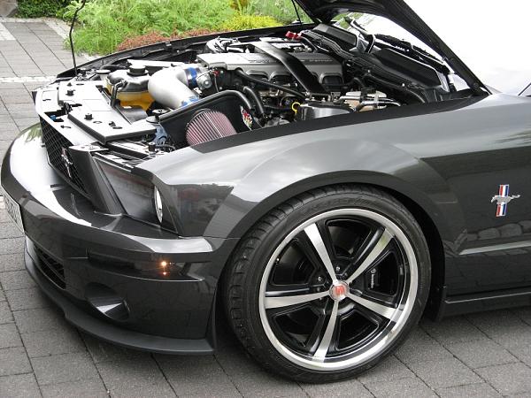 2005-2009 Ford Mustang S-197 Gen 1 Photo Gallery Lets see your latest pics!!!-img_0008.jpg