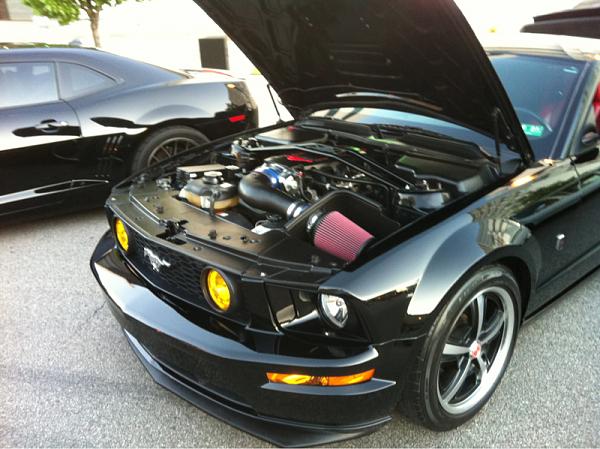 2005-2009 Ford Mustang S-197 Gen 1 Photo Gallery Lets see your latest pics!!!-image-783886550.jpg
