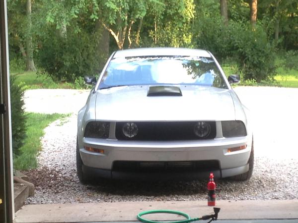2005-2009 Ford Mustang S-197 Gen 1 Photo Gallery Lets see your latest pics!!!-image-2288699144.jpg