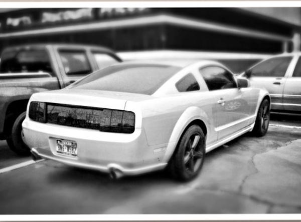 V6 Pony Package spoiler on a GT? Pics?-image-51336515.jpg
