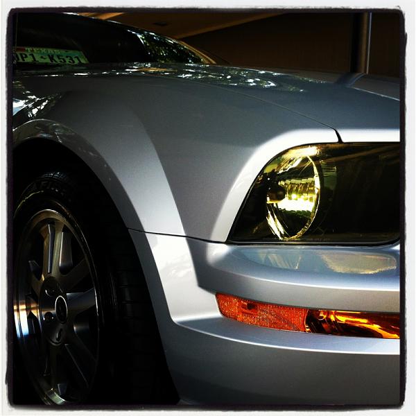 2005-2009 Ford Mustang S-197 Gen 1 Photo Gallery Lets see your latest pics!!!-image-3268348856.jpg