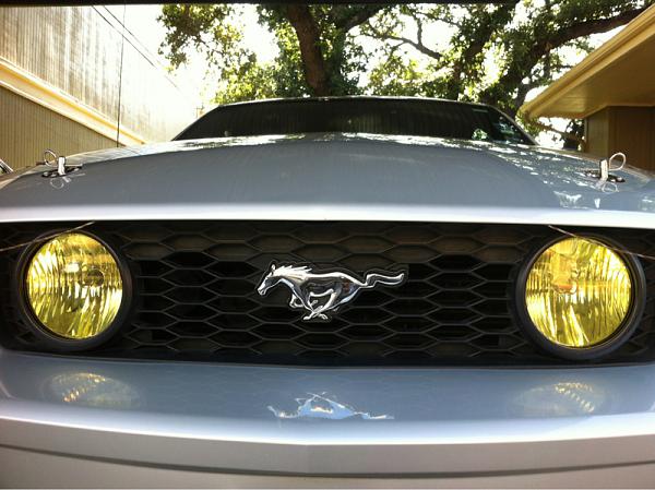 2005-2009 Ford Mustang S-197 Gen 1 Photo Gallery Lets see your latest pics!!!-image-3888806057.jpg