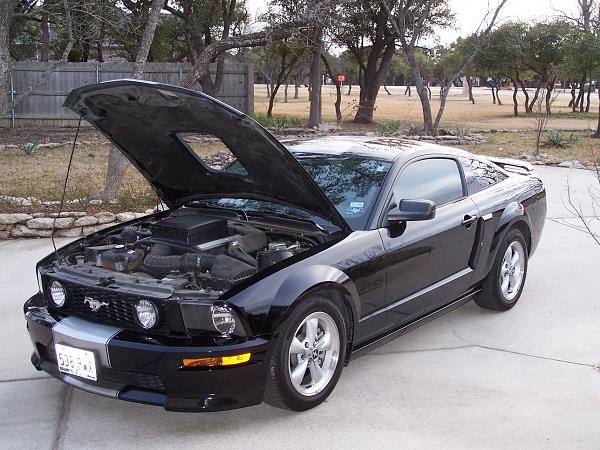 How many bought their's new and still own it?-100_2537.jpg