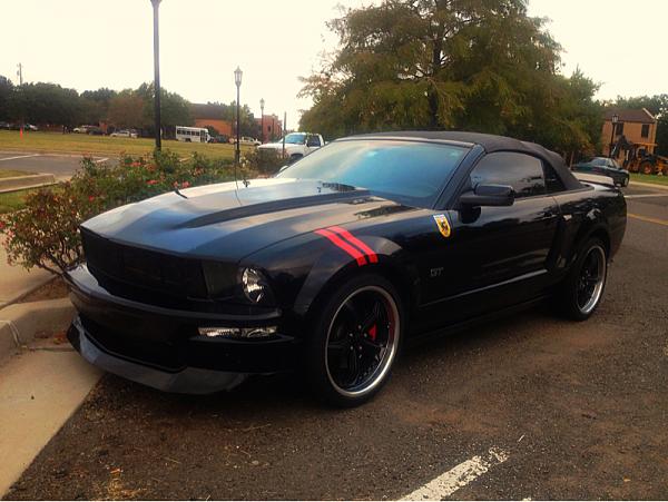 2005-2009 Ford Mustang S-197 Gen 1 Photo Gallery Lets see your latest pics!!!-image-1315862607.jpg