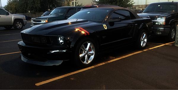 2005-2009 Ford Mustang S-197 Gen 1 Photo Gallery Lets see your latest pics!!!-image-374061196.jpg