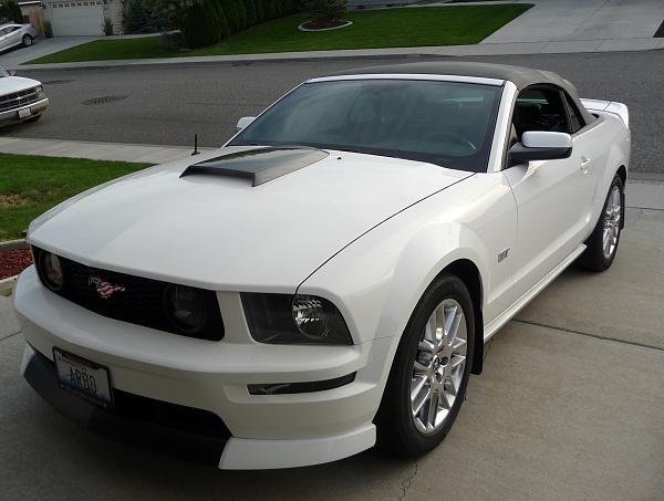 2005-2009 Ford Mustang S-197 Gen 1 Photo Gallery Lets see your latest pics!!!-blk-scoop.jpg