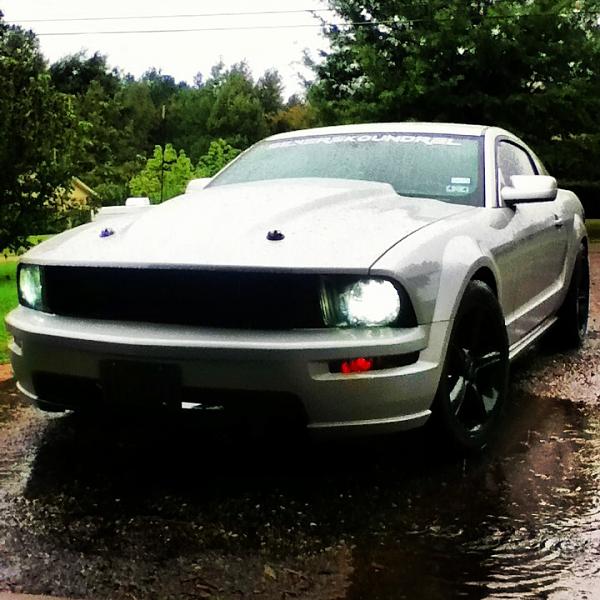 2005-2009 Ford Mustang S-197 Gen 1 Photo Gallery Lets see your latest pics!!!-image-99690537.jpg