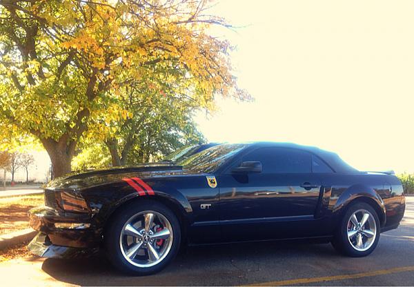 2005-2009 Ford Mustang S-197 Gen 1 Photo Gallery Lets see your latest pics!!!-image-378741014.jpg