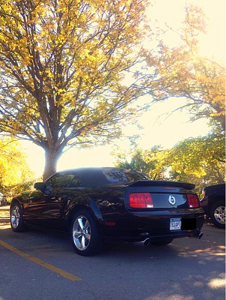 2005-2009 Ford Mustang S-197 Gen 1 Photo Gallery Lets see your latest pics!!!-image-2903896682.jpg