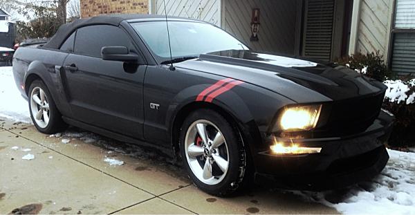 2005-2009 Ford Mustang S-197 Gen 1 Photo Gallery Lets see your latest pics!!!-image-3096375267.jpg