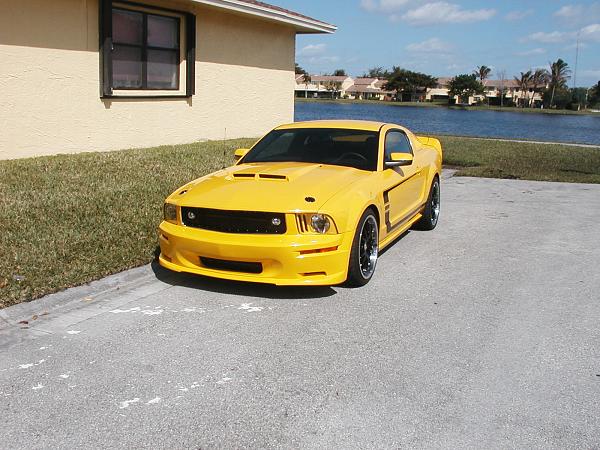06 front bumper ideas needed!-shrpanel.jpg