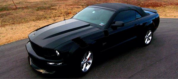 2005-2009 Ford Mustang S-197 Gen 1 Photo Gallery Lets see your latest pics!!!-image-4178014524.jpg