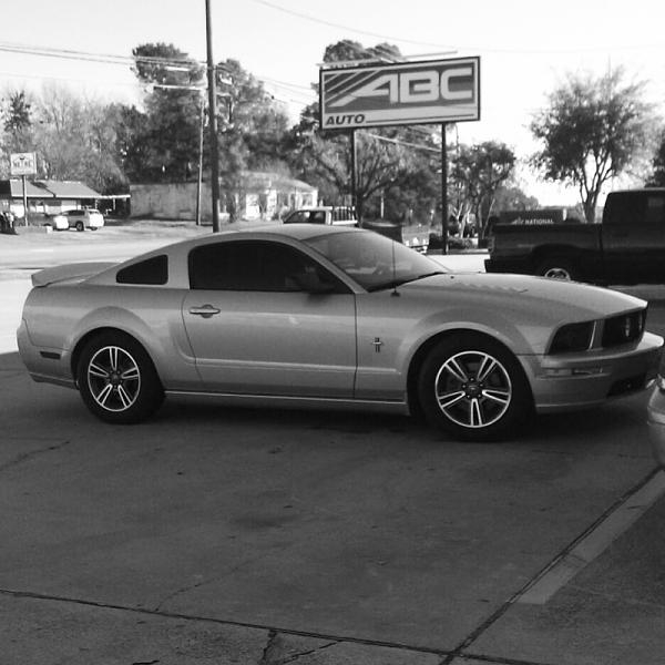 2005-2009 Ford Mustang S-197 Gen 1 Photo Gallery Lets see your latest pics!!!-image-4076113039.jpg