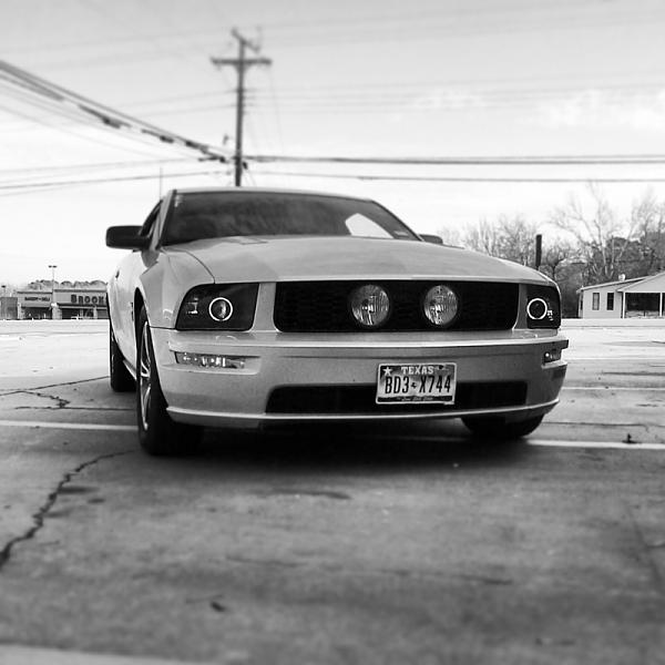 2005-2009 Ford Mustang S-197 Gen 1 Photo Gallery Lets see your latest pics!!!-image-565920654.jpg