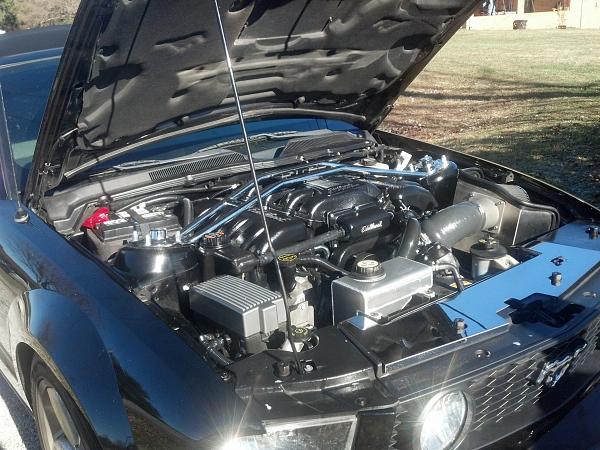 2005-2009 Ford Mustang S-197 Gen 1 Photo Gallery Lets see your latest pics!!!-img_20131227_124716_342.jpg