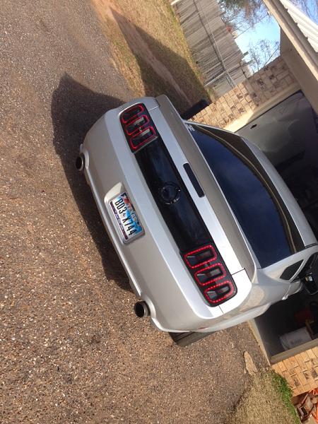 2005-2009 Ford Mustang S-197 Gen 1 Photo Gallery Lets see your latest pics!!!-image-3880031214.jpg