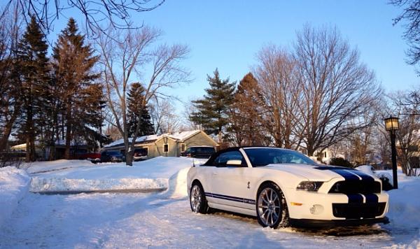 2005-2009 Ford Mustang S-197 Gen 1 Photo Gallery Lets see your latest pics!!!-image-2805852622.jpg