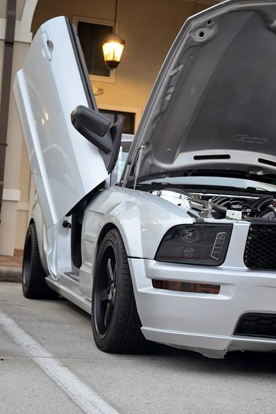 2005-2009 Ford Mustang S-197 Gen 1 Photo Gallery Lets see your latest pics!!!-dsc_0149.jpg