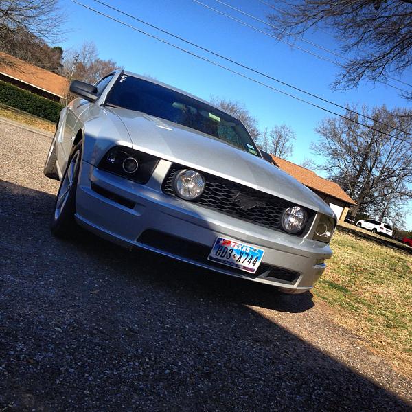 2005-2009 Ford Mustang S-197 Gen 1 Photo Gallery Lets see your latest pics!!!-image-1668967588.jpg