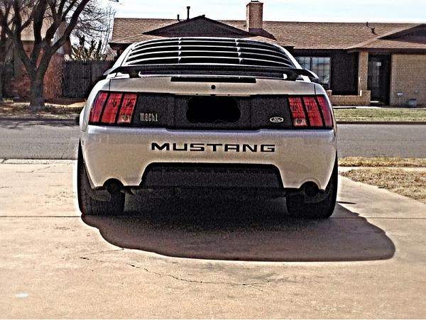 2005-2009 Ford Mustang S-197 Gen 1 Photo Gallery Lets see your latest pics!!!-image-3360343636.jpg