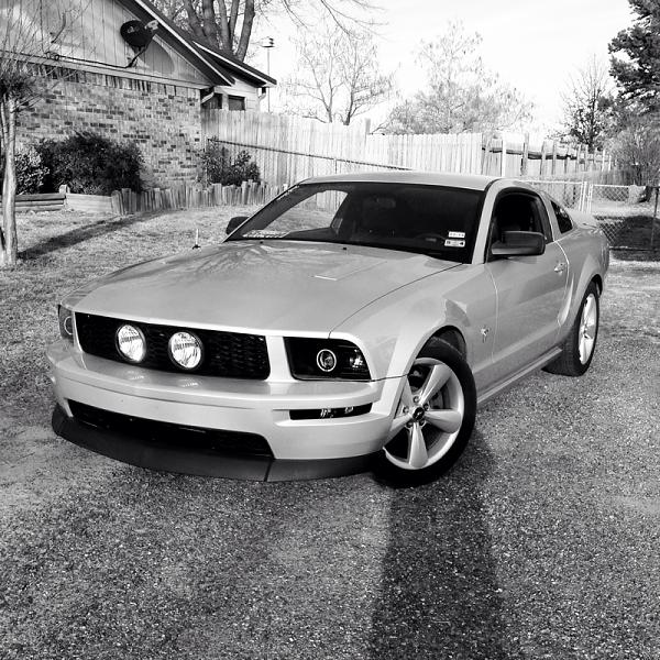 2005-2009 Ford Mustang S-197 Gen 1 Photo Gallery Lets see your latest pics!!!-image-3449704669.jpg