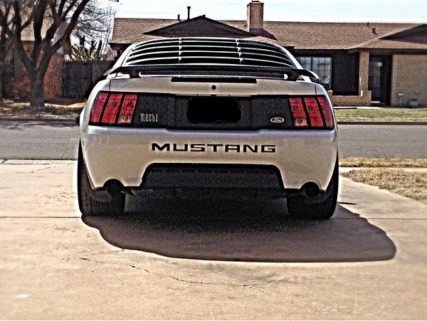 2005-2009 Ford Mustang S-197 Gen 1 Photo Gallery Lets see your latest pics!!!-image-1145694654.jpg