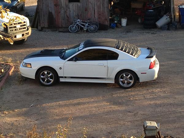 2005-2009 Ford Mustang S-197 Gen 1 Photo Gallery Lets see your latest pics!!!-image-512209604.jpg
