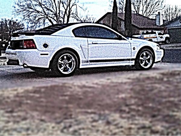 2005-2009 Ford Mustang S-197 Gen 1 Photo Gallery Lets see your latest pics!!!-image-4120442711.jpg