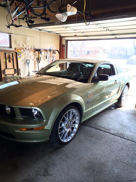 2005-2009 Ford Mustang S-197 Gen 1 Photo Gallery Lets see your latest pics!!!-image-2743268294.jpg